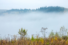 夏天乌克兰喀尔巴阡山厚雾隐藏了的谷之间的的山厚雾夏天谷