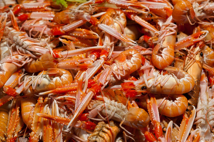 新鲜的小龙虾新鲜的小龙虾的食物市场计数器
