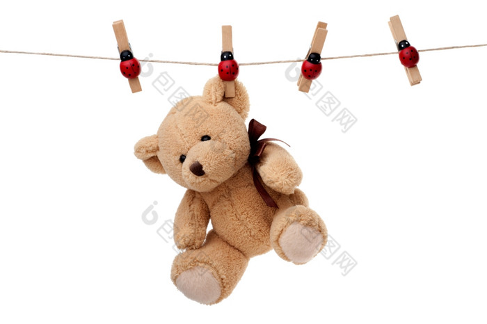 泰迪熊挂晾衣绳小泰迪熊挂晾衣绳孤立的白色背景