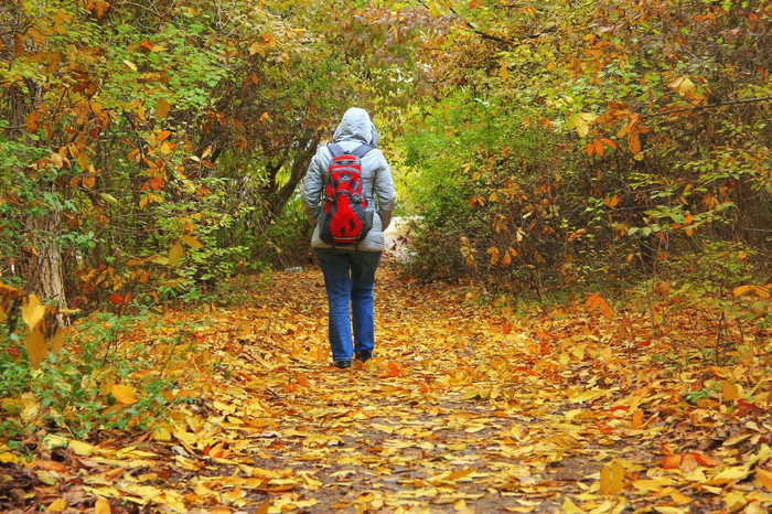 年轻的女人与红色的袋装走秋天公园白天