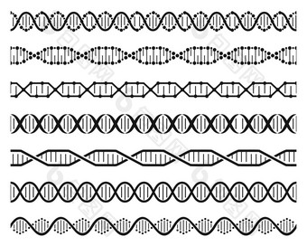 太太螺旋链双螺旋基因分子结构人类遗传代码太太链分子序列无缝的元素向量集染色体螺旋微观螺旋弯曲的模型太太螺旋链双螺旋基因分子结构人类遗传代码太太链分子序列无缝的元素向量集图片