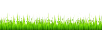 绿色草边境孤立的白色背景草坪上草地自然纹理春天主题向量卡通插图绿色草边境孤立的白色背景草坪上草地自然纹理春天主题向量卡通插图