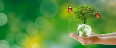 发光的树全球水晶玻璃球手与蝴蝶绿色背景与散景世界精神健康和世界地球一天储蓄环境和世界生态概念