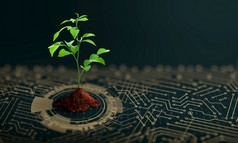 日益增长的树与土壤的收敛点电脑电路董事会自然与数字收敛和技术收敛绿色计算绿色技术绿色企业社会责任和道德概念