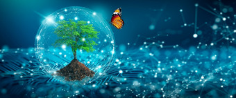 树与土壤日益增长的的收敛点电脑电路董事会蓝色的光和低聚线框网络<strong>背景</strong>绿色计算绿色技术绿色企业社会责任和<strong>道德</strong>概念