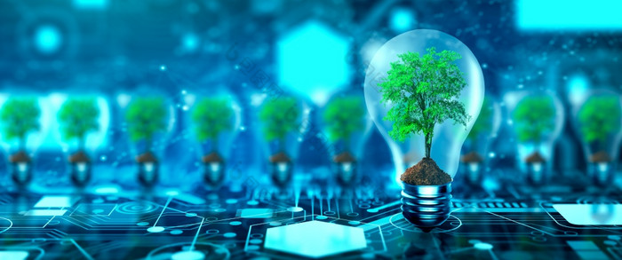 树日益增长的灯泡与数字收敛和蓝色的网络技术背景环境技术绿色技术绿色电脑道德企业社会责任和免费的概念