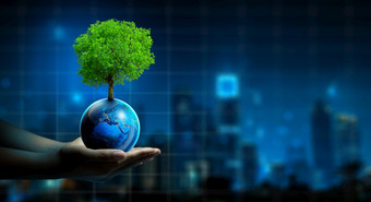 男人。手持有树地球与技术经济树日益增长的地球和晚上城市背景绿色计算绿色企业社会责任和道德和储蓄能源概念