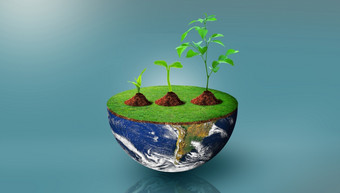 植物不同的大小一半球地球地球与绿色草环境管理世界环境一天和储蓄环境概念图像有家具的已开启