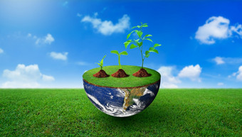 植物不同的大小一半球与绿色草自然和蓝色的天空背景环境管理世界环境一天和储蓄环境概念图像有家具的已开启