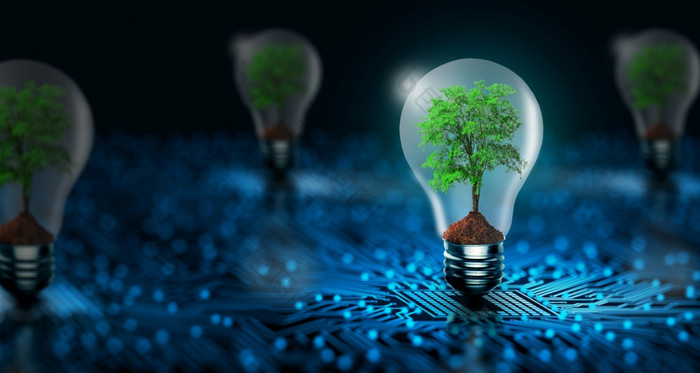 树日益增长的灯泡与数字收敛和蓝色的网络技术背景环境技术绿色技术绿色电脑道德企业社会责任和免费的概念