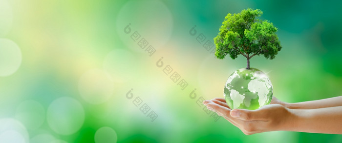 日益增长的树全球水晶玻璃球人类手绿色阳光明媚的背景与散景储蓄环境保存清洁地球生态和世界地球一天概念