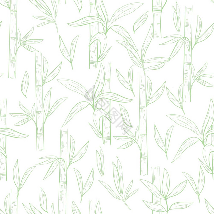 竹子无缝的模式竹子草手草图植图片