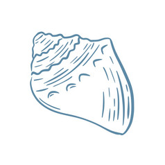 海贝草图向量插图海洋壳牌手雕刻孤立的对象水下居民装饰海贝草图向量插图