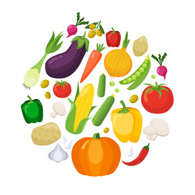 蔬菜彩色的孤立的图标平集与收获蔬菜和水果形成大圆向量插图蔬菜彩色的图标平集