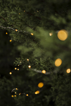 圣诞节装饰与美丽的树灯