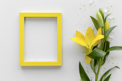升高视图新鲜的黄色的莉莉花与空白空照片框架