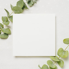 叶子树枝角落里白色婚礼卡对背景决议和高质量美丽的照片叶子树枝角落里白色婚礼卡对背景高质量和决议美丽的照片概念