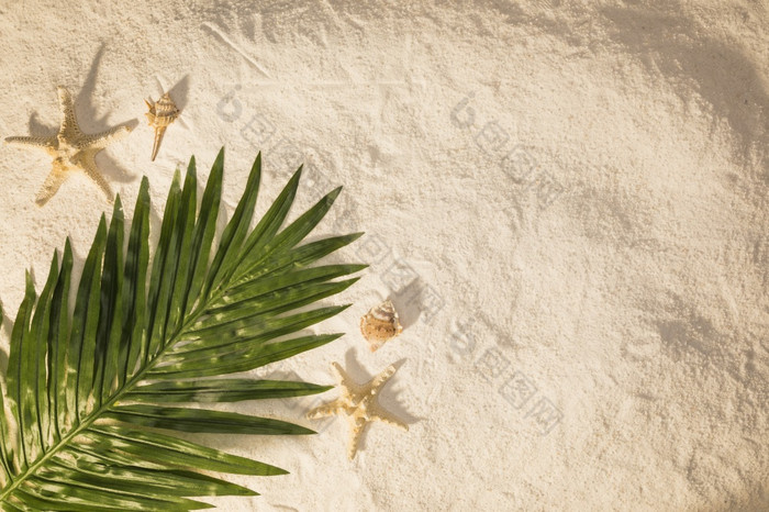 棕榈树叶沙子决议和高质量美丽的照片棕榈树叶沙子高质量和决议美丽的照片概念