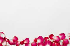 漂亮的玫瑰花瓣决议和高质量美丽的照片漂亮的玫瑰花瓣高质量美丽的照片概念