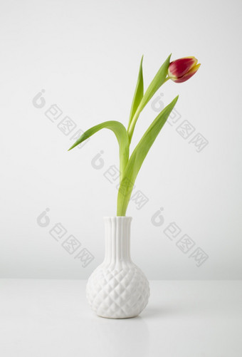 花瓶与郁金香桌子上决议和高质量美丽的照片花瓶与郁金香桌子上高质量美丽的照片概念