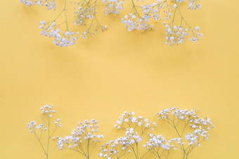 白色花边境黄色的背景决议和高质量美丽的照片白色花边境黄色的背景高质量美丽的照片概念