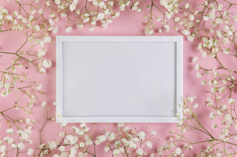 空白色空白框架包围与白色婴儿呼吸花对粉红色的背景决议和高质量美丽的照片空白色空白框架包围与白色婴儿呼吸花对粉红色的背景高质量美丽的照片概念