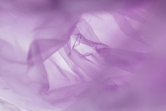 平躺分类紫色的塑料袋决议和高质量美丽的照片平躺分类紫色的塑料袋高质量美丽的照片概念