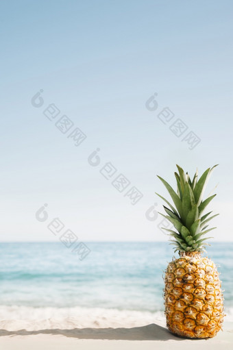 海滩背景与菠萝Copyspace决议和高质量美丽<strong>的</strong>照片海滩背景与菠萝Copyspace高质量美丽<strong>的</strong>照片概念