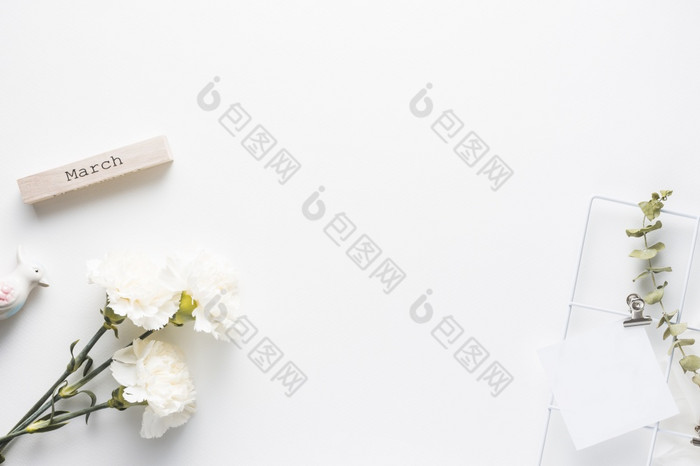 3月登记与康乃馨花纸决议和高质量美丽的照片3月登记与康乃馨花纸高质量美丽的照片概念