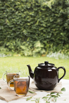 两个透明的杯子Herbal茶与茶壶表格花园美丽的照片两个透明的杯子Herbal茶与茶壶表格花园