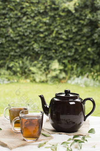 两个透明的杯子Herbal茶与茶壶表格花园美丽的照片两个透明的杯子Herbal茶与茶壶表格花园