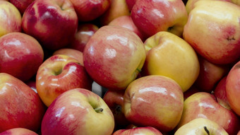 美味的苹果安排高决议照片美味的苹果安排高质量照片