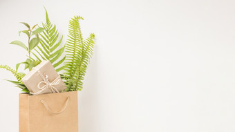 礼物盒子绿色<strong>蕨类植物</strong>叶子棕色（的）纸袋与空间文本高决议照片礼物盒子绿色<strong>蕨类植物</strong>叶子棕色（的）纸袋与空间文本高质量照片