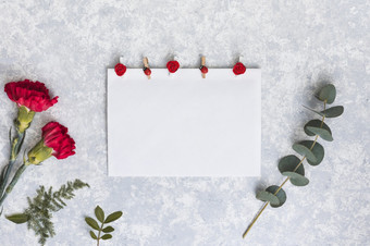 红色的康乃馨花与纸表格高决议照片红色的康乃馨花与纸表格高质量照片