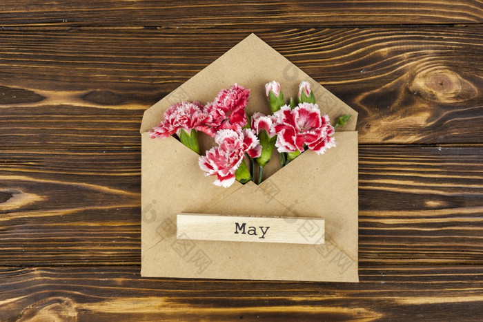 五月文本木块信封与红色的康乃馨花