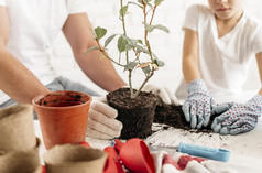 父亲儿子种植植物首页在一起