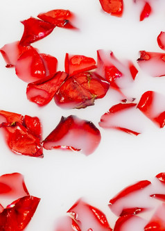 充满活力的红色的花花瓣浮动清晰的白色水