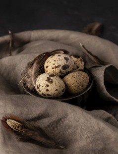 高角鹌鹑鸡蛋碗与羽毛
