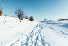 寒冷的景观风景与修改交叉国家滑雪道路