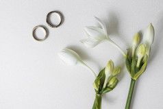 盛开的花与两个婚礼环白色背景
