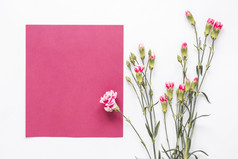 粉红色的花与空白纸表格