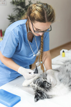 兽医持有耳镜检查狗耳朵与耳镜诊所