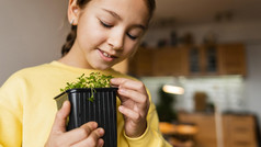 小女孩首页与小植物