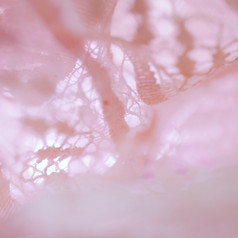 美丽的粉红色的纺织材料细网