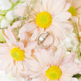 升高视图银钻石婚礼环粉红色的非洲菊花