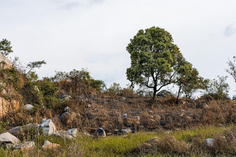 <strong>非洲</strong>自然<strong>风景</strong>与植被