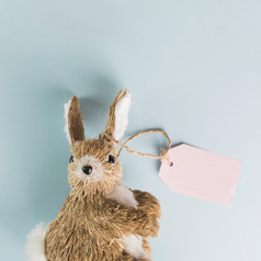 玩具兔子与标签