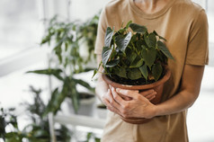 女人持有室内植物能