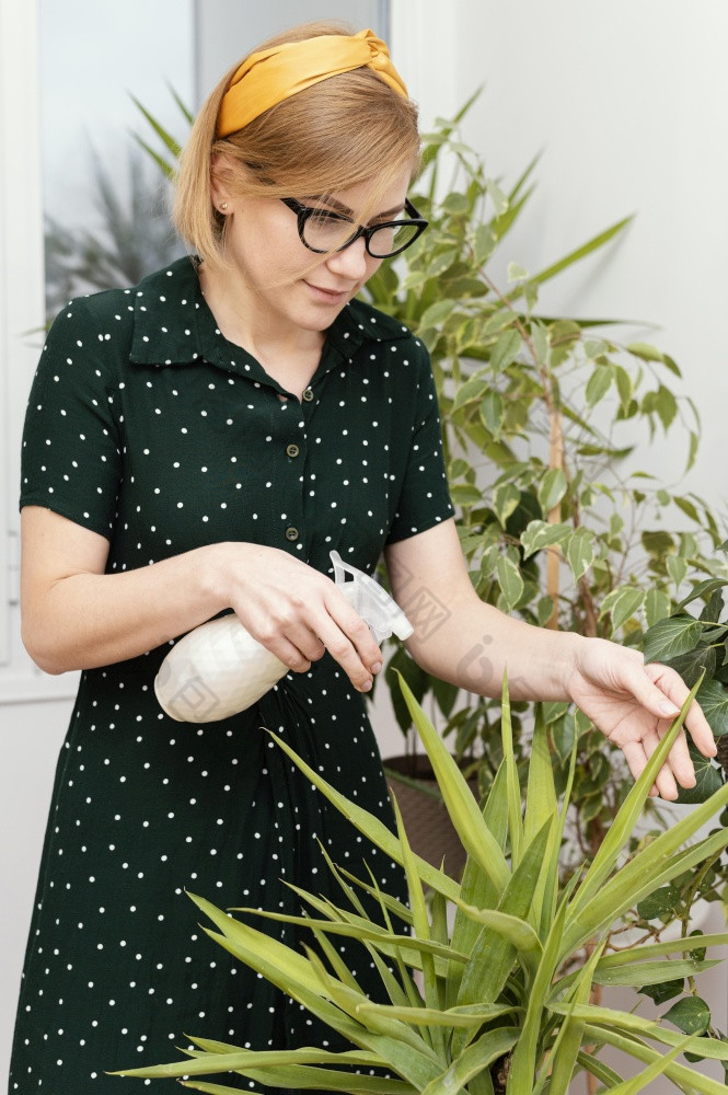 女人浇水室内植物