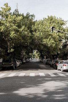 视图城市街与树卡